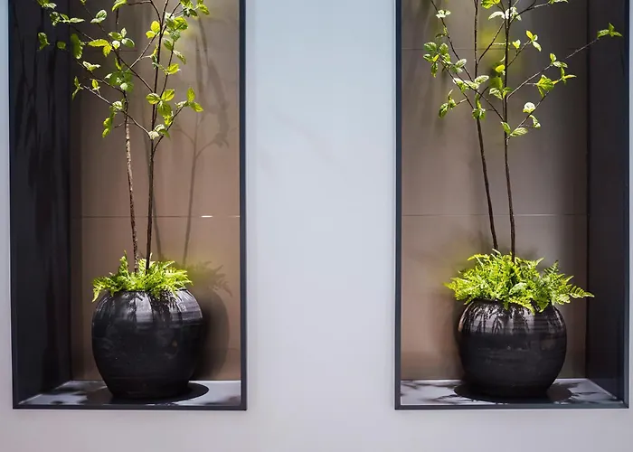 Heritage 4* 오비에도